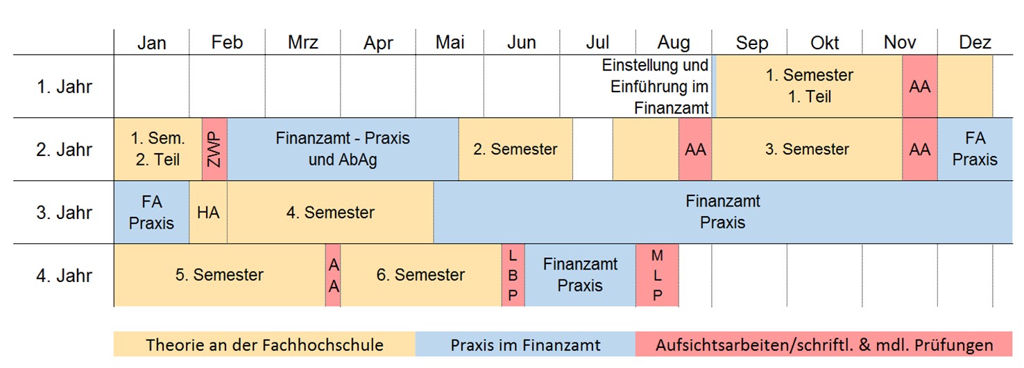 Das Bild zeigt den Ablaufplan des Studiums.