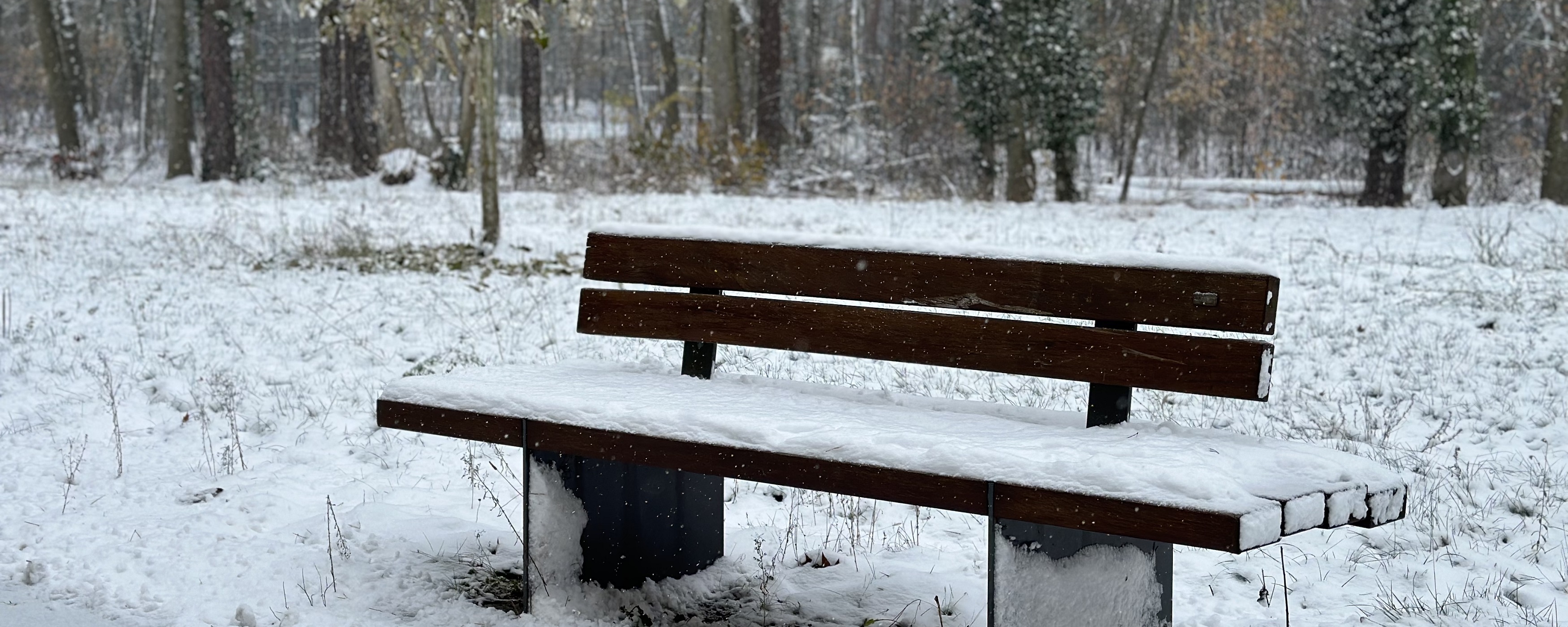 Bild: Sitzbank auf dem Campus mit Schnee bedeckt