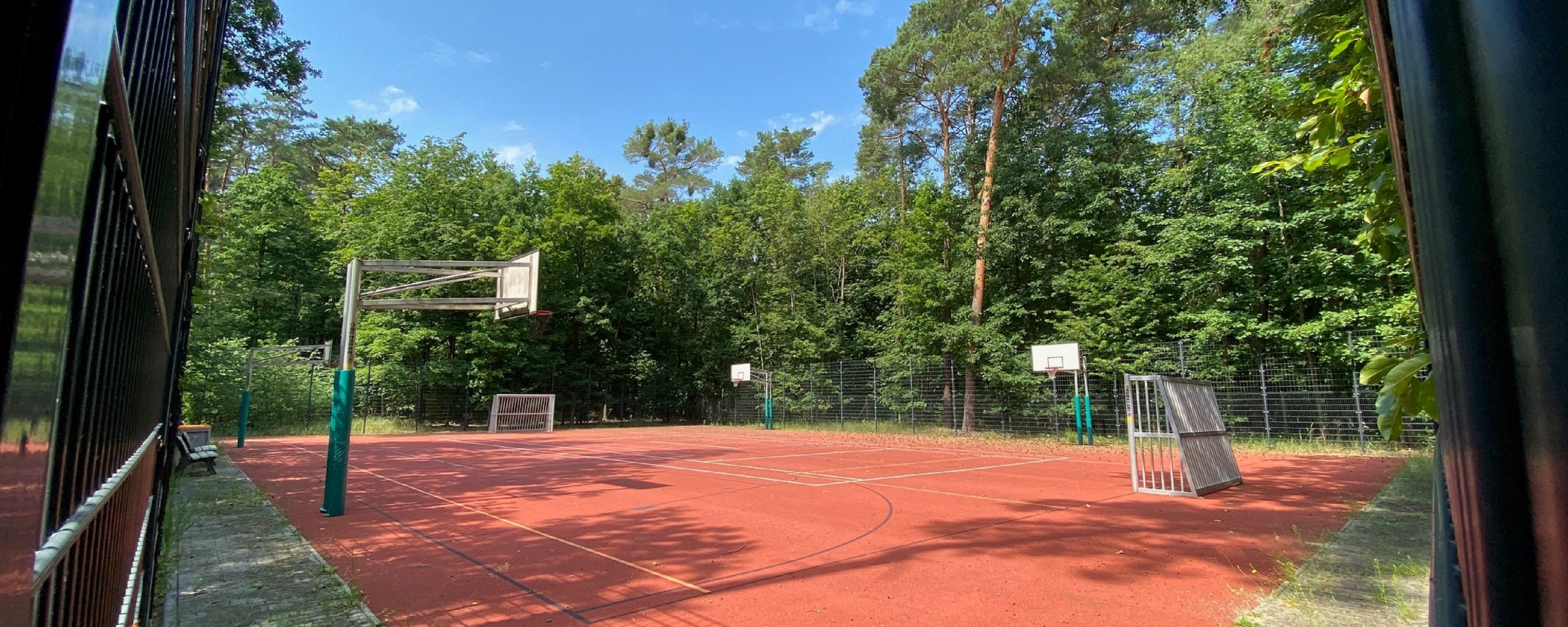 Bild: Das Bild zeigt den Sportplatz im Wald.