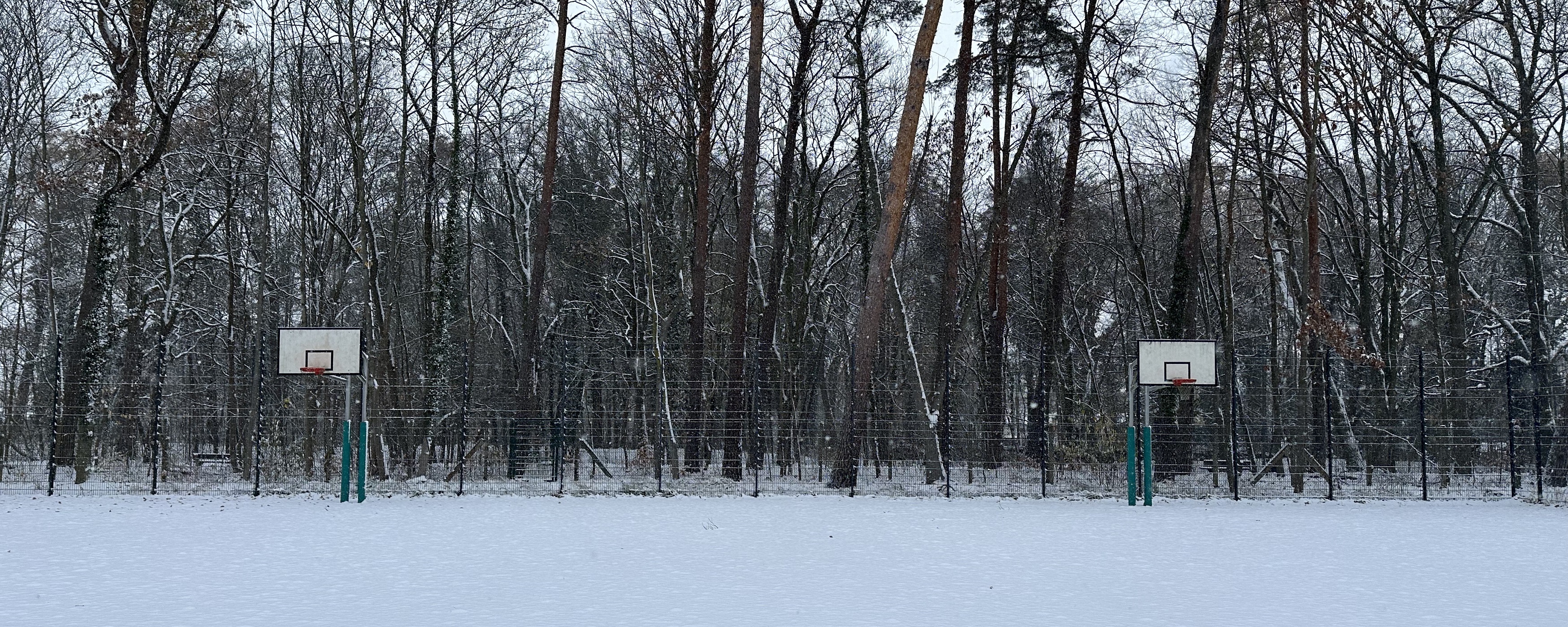 Bild: Sportplatz im Wald mit Schnee bedeckt
